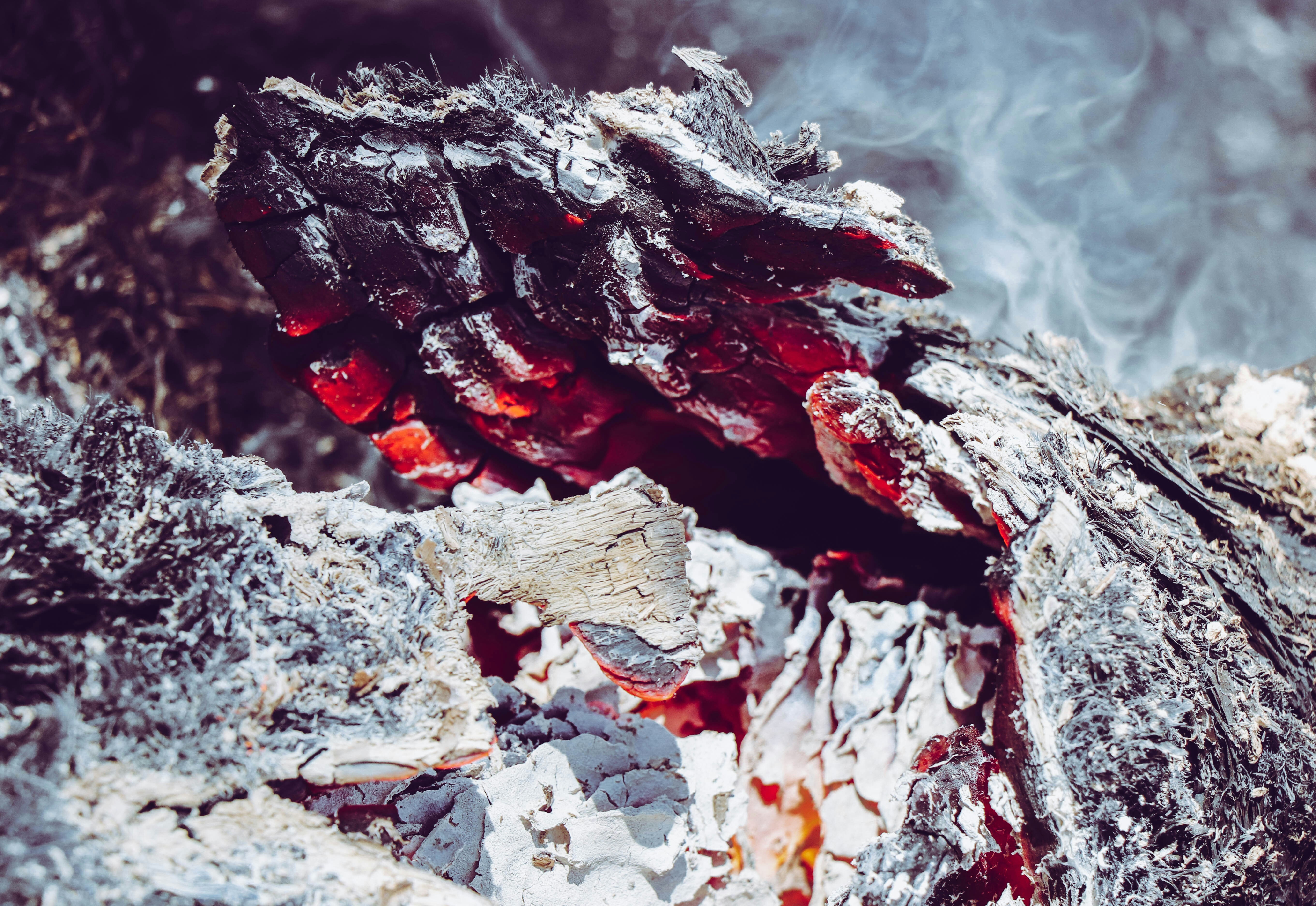 csm_grillen_balkon5