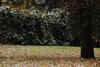 csm_garten_winterfest6