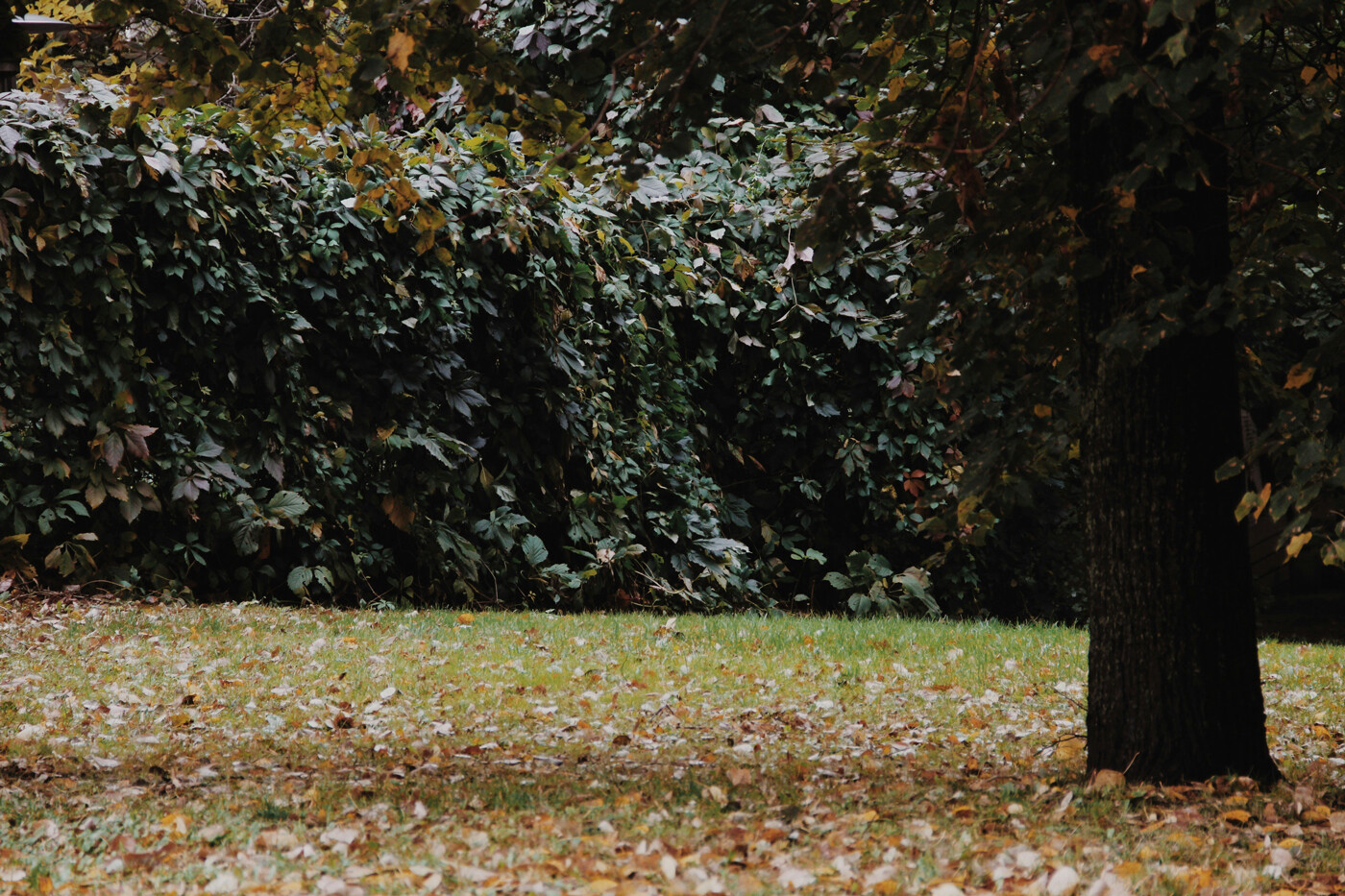 csm_garten_winterfest6