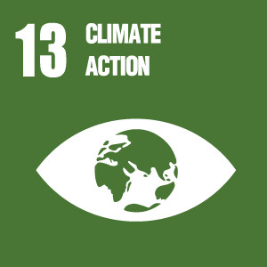 SDG_13