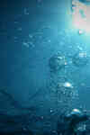 csm_tauchen3