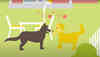 vid-thumb_thv_1073x607