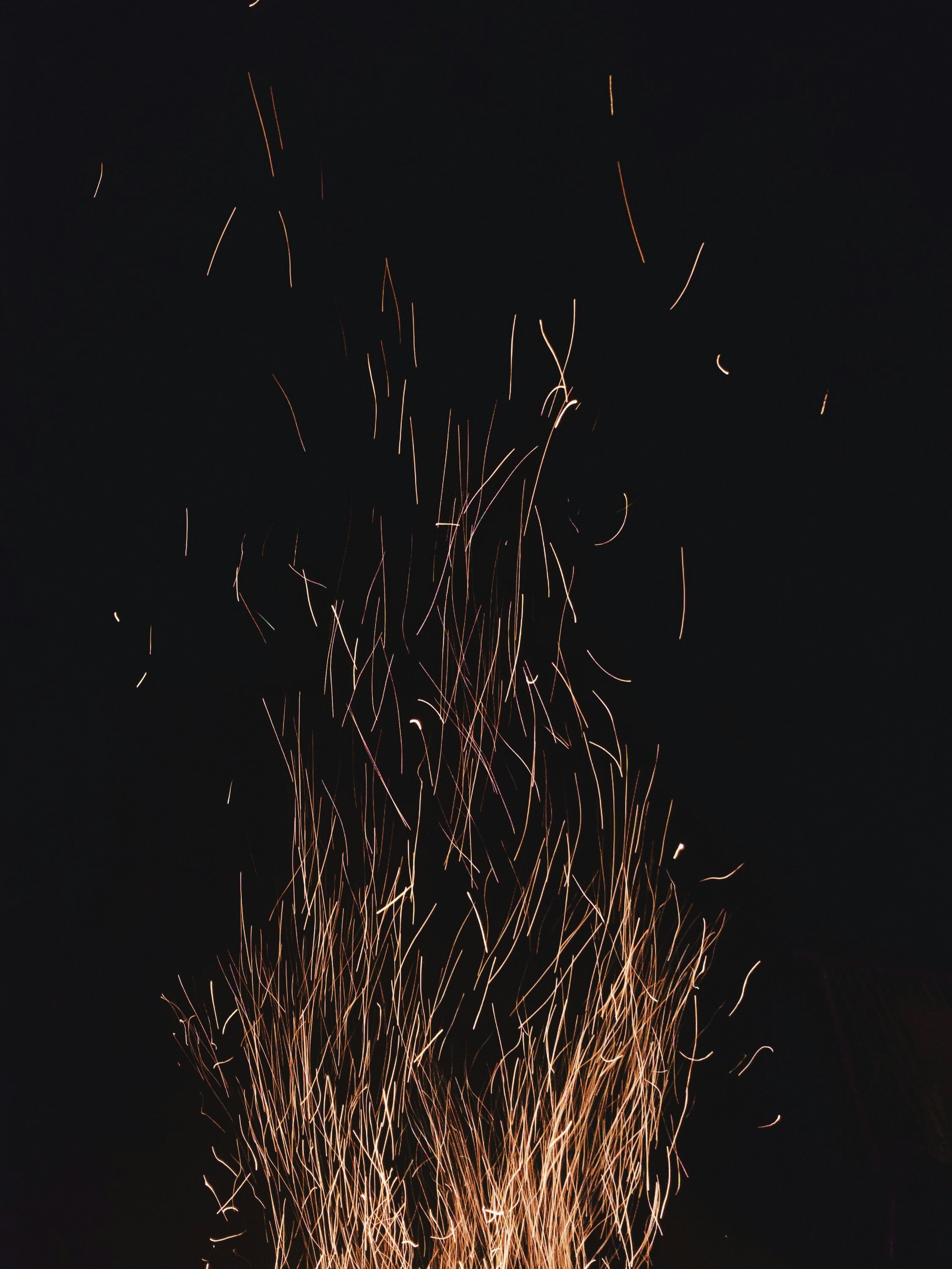 maria-p-yUqmdFy7P7k-unsplash